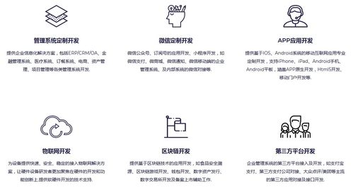 軟件開發外包服務 定義、模式、優勢與選擇指南