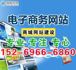 互聯(lián)網(wǎng)時代企業(yè)電子商務(wù)商城網(wǎng)站建設(shè)與信息咨詢服務(wù)指南