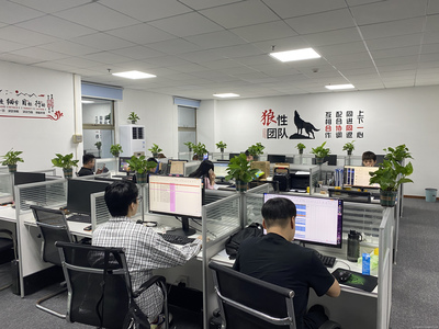 廣州星照信息咨詢 專業(yè)信息咨詢服務(wù)，賦能企業(yè)決策